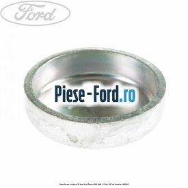 Dop gheata chiulasa 25 mm Ford Fiesta 2005-2008 1.6 16V 100 cai #F4F5036C21