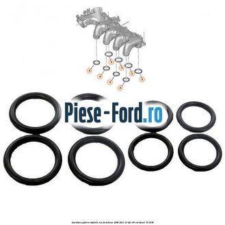 Garnitura galerie admisie set Ford Focus 2008-2011 1.6 TDCi 90 cai #659ABF8113 Garnitura galerie admisie set Ford Focus 2008-2011 1.6 TDCi 90 cai #659ABF8113