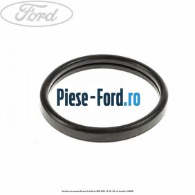 Garnitura, termostat 48 mm Ford Fiesta 2005-2008 1.6 16V 100 cai #5F9E8B426A