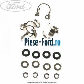 Set oring injector Ford Fiesta 2013-2017 1.0 EcoBoost 125 cai