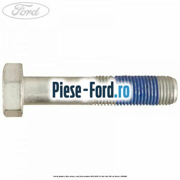 Surub pindere fulie arbore cotit Ford Mondeo 2014-2018 2.0 TDCi 4x4 180 cai