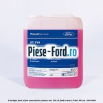 5 Antigel Ford HT-FVA concentrat culoare roz -35C 5L Ford B-Max 1.5 TDCi 95 cai #E1D123DD76