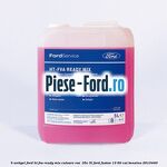 5 Antigel Ford HT-FVA Ready Mix culoare roz -35C 5L Ford Fusion 1.3 60 cai #843D207785