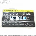 Eticheta informare mod alimentare combustibil Ford Focus 2008-2011 2.5 RS 305 cai benzina