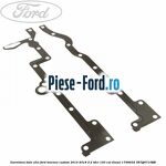 Galerie admisie Ford Tourneo Custom 2014-2018 2.2 TDCi 100 cai diesel