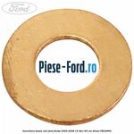 Garnitura buson ulei Ford Fiesta 2005-2008 1.6 TDCi 90 cai #95B8676295