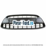 Grila bara fata, editie limitata Ford Fiesta 2008-2012 1.4 TDCi 68 cai #BDE1D4AE2F