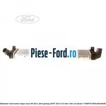 Punga plastic logo Ford Ford Galaxy 2007-2014 2.0 TDCi 140 cai diesel