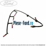 Set curea servodirectie Ford Tourneo Custom 2014-2018 2.2 TDCi 100 cai diesel